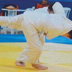 Analig Judo Grupları Sona Erdi