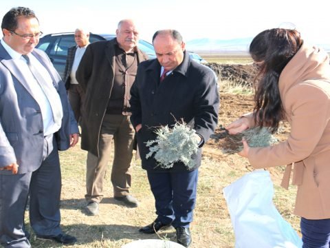 Budak Köyünde Lavanta Balı Üretilecek