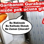 “BAT DÜNYA BAT!” Bizim Garibanın Gurabanın Ekmeğide Pek Ucuza Gitti…