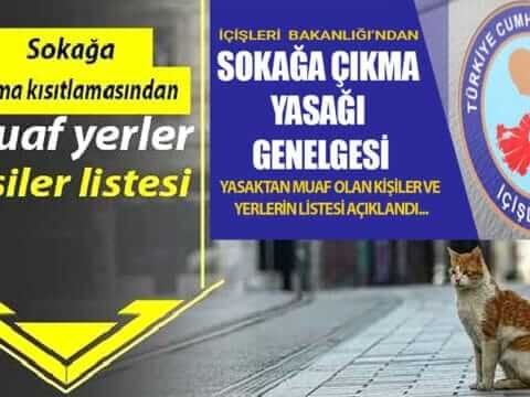 29 Nisan İle 17 Mayıs arası Sokağa Çıkma Yasağı Uygulanacak…