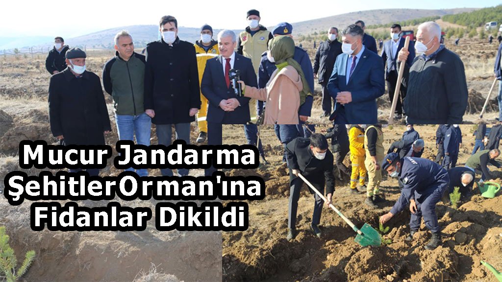 Mucur Jandarma Şehitler Orman'ına Fidanlar Dikildi