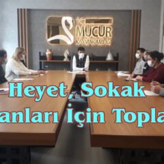 Mucur Kaymakamlığı, Sokak Hayvanları İçin Çalışmalar Başlattı