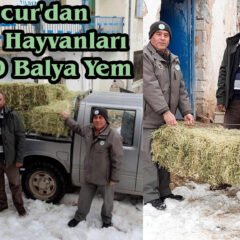 Mucur’dan Yaban Hayvanları İçin 10 Balya Yem