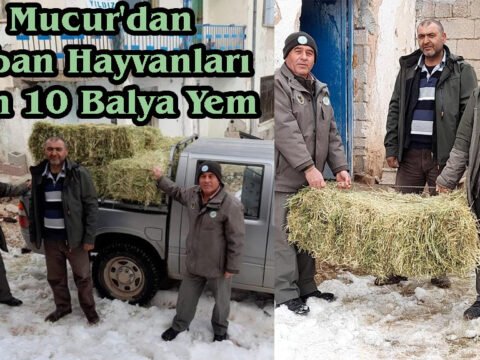 Mucur’dan Yaban Hayvanları İçin 10 Balya Yem