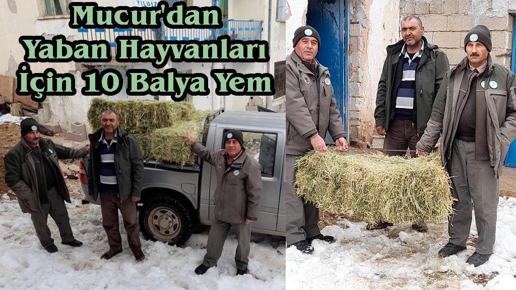 Mucur'dan Yaban Hayvanları İçin 10 Balya Yem