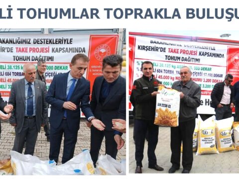 HİBELİ TOHUMLAR TOPRAKLA BULUŞUYOR