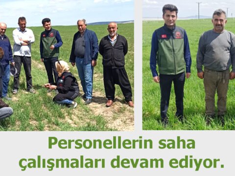 Personellerinin saha çalışmaları devam ediyor.