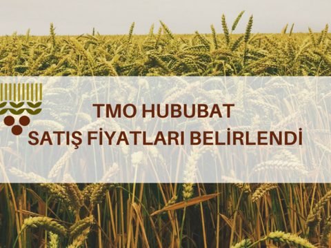 Buğday ve arpa stokları için satış fiyatlarını belirledi