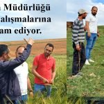 Tarım Müdürlüğü saha çalışmalarına devam ediyor.