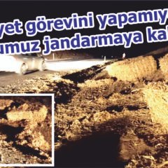Emniyet görevini yapamıyor! Umudumuz jandarmaya kaldı…